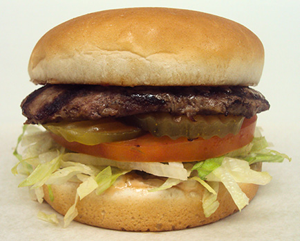 Hamburger Photo